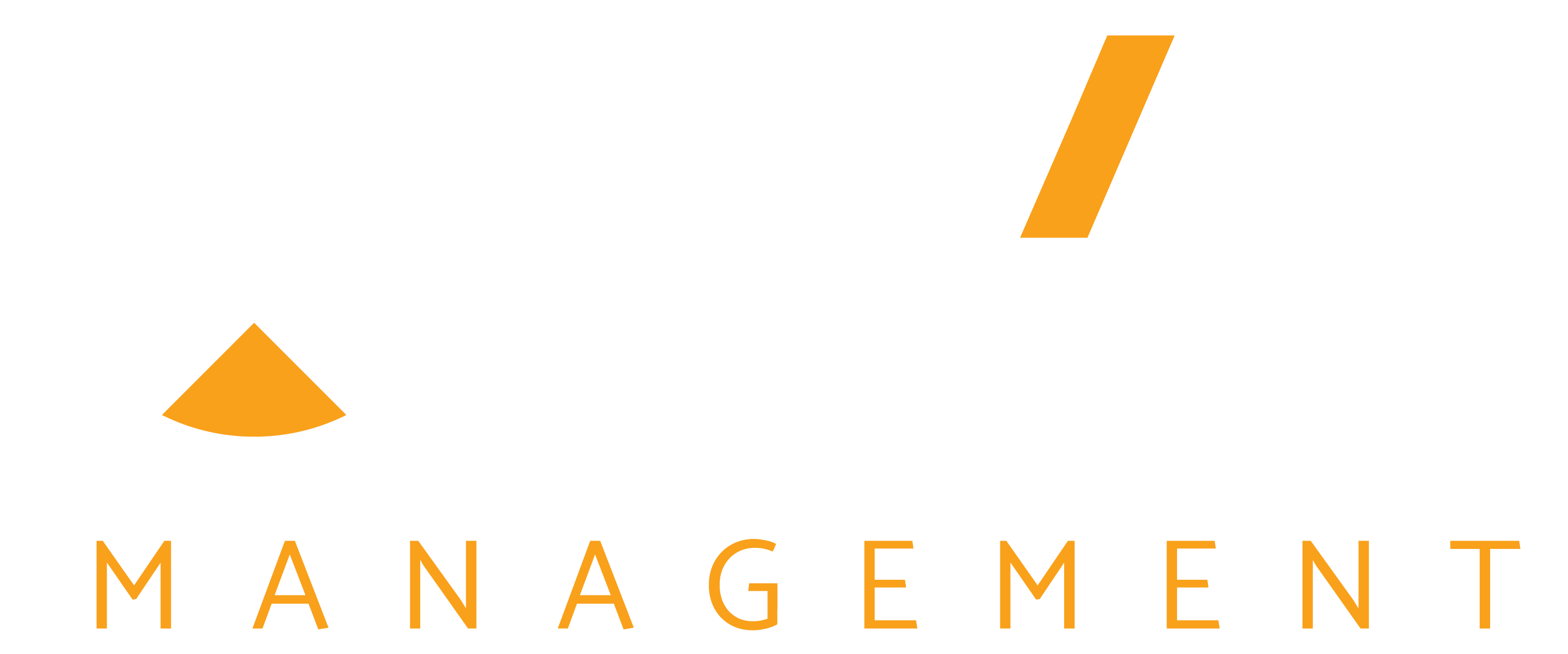 The image is a logo for a company named "ALVR MANAGEMENT".
